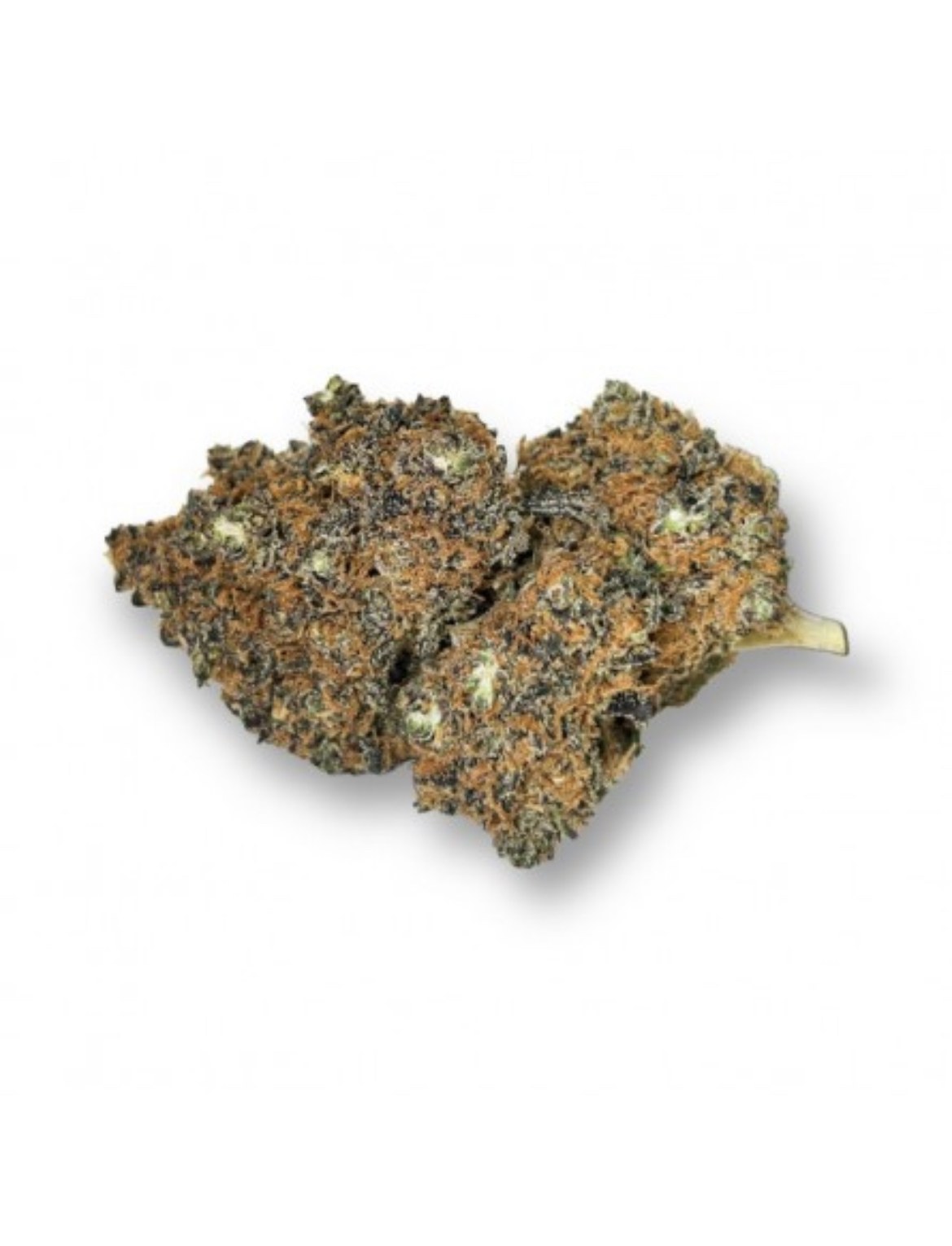 Amnesia Cali CBD - Indoor – Image 2